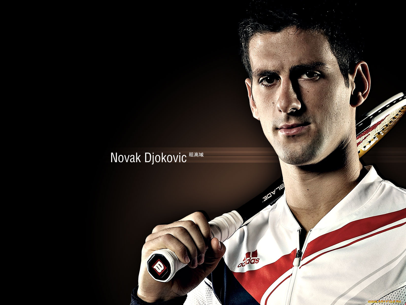 , , novak, djokovic